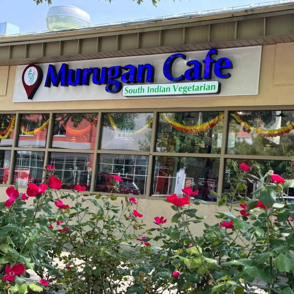Best South Indian vegetarian restaurant